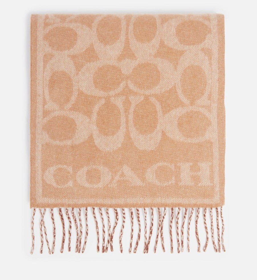 Women Coach Scarves | Coach Eve Signature C Reversible Muffler Cashmere-Jacquard Scarf